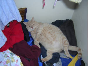 dscn4809.jpg